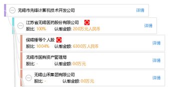 无锡市先锋计算机技术开发公司的技术开发实践与行业启示